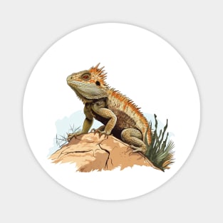 Pogona Magnet